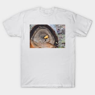 Shrooms T-Shirt